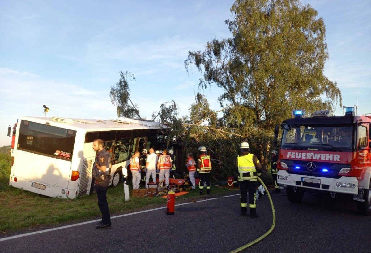 Hardert: Linienbus prallt gegen Baum - Busfahrer eingeklemmt