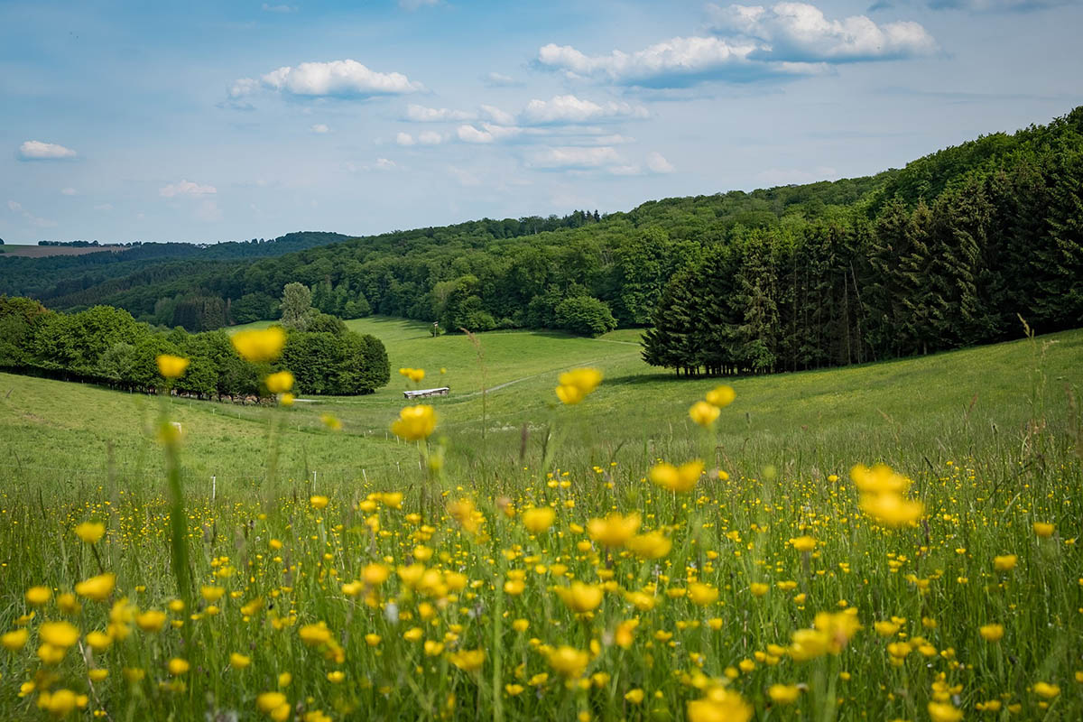 Talblick am Butterpfad bei Straenhaus c) Andreas Pacek