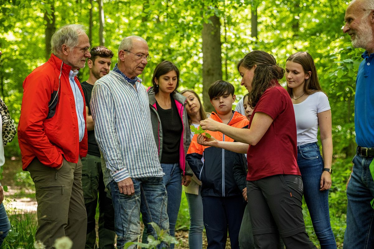 Waldbesucher bestaunen den Wald in all seinen Facetten. (Foto: LandesforstenRLP.de / Jonathan Fieber)