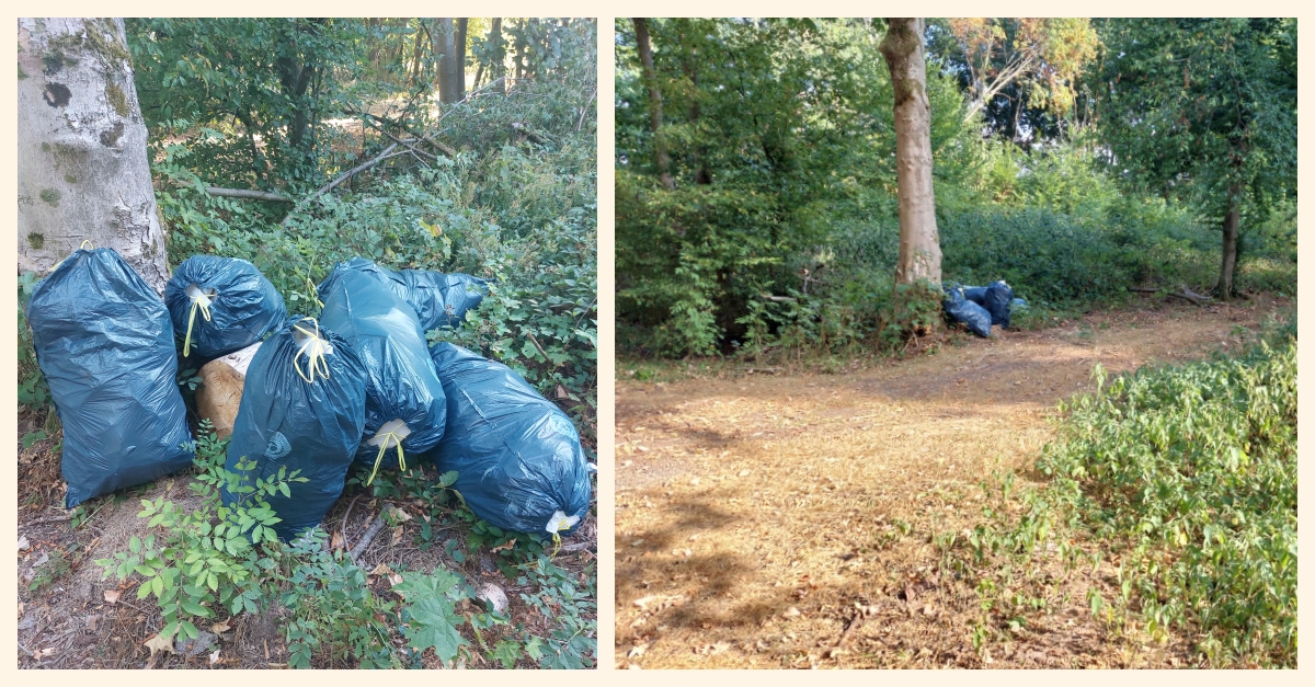 Bei Niederingelbach wurde illegal Mll abgelagert. (Fotos: VG-Verwaltung Altenkirchen-Flammersfeld)