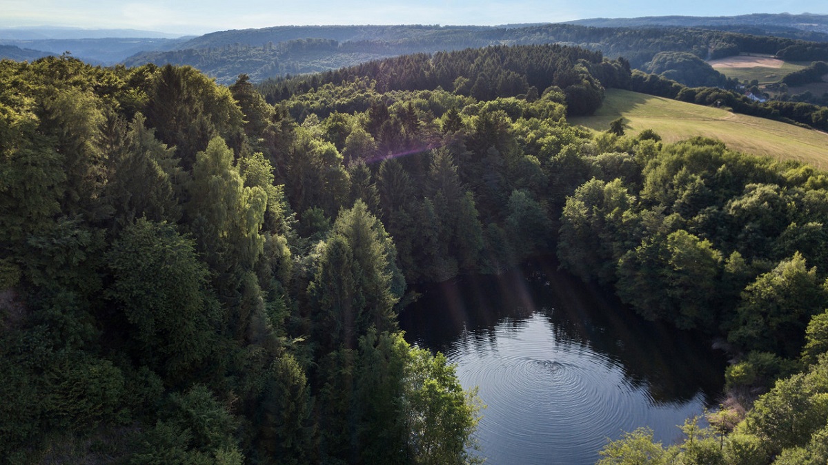 Der Malbergsee im Naturpark Rhein-Westerwald. (Foto: Andreas Pacek)