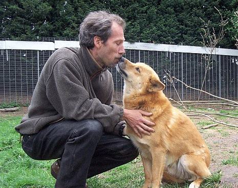 Wolfswinkeler Hundetage: Jos de Bruin erzhlt von seinem Leben mit Wlfen