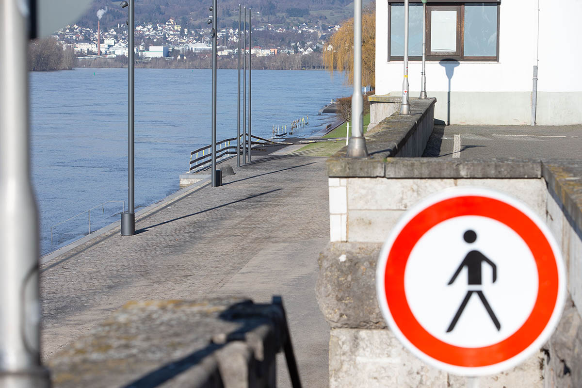 Deichvorgelnde hat Hochwasser schadlos berstanden