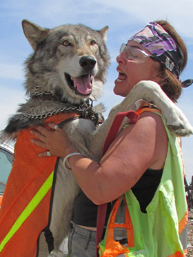 Wolfswinkeler Hundetage starten am zweiten September-Wochenende