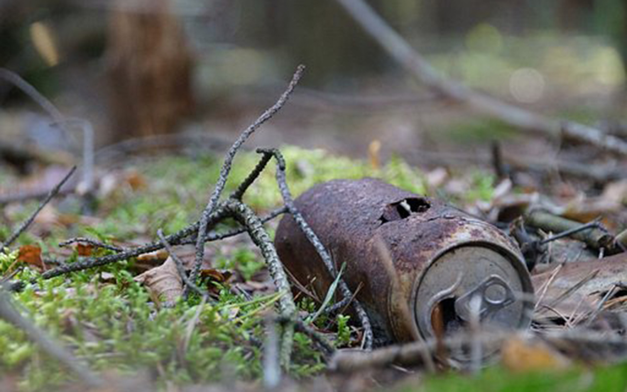 Die Dorfsuberungsaktion findet in Birken-Honigsessen am 15. April statt. (Foto: Pixabay)