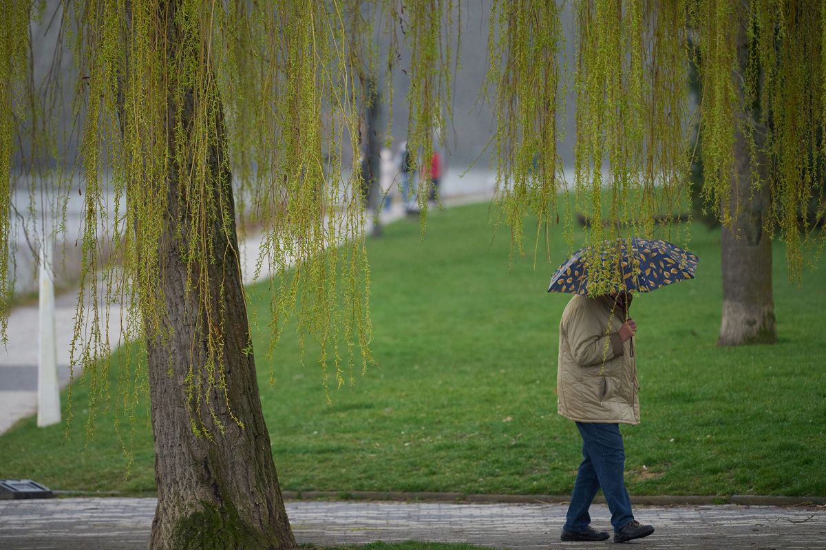 Trbe Tage in Rheinland-Pfalz: Regen und Wolken dominieren