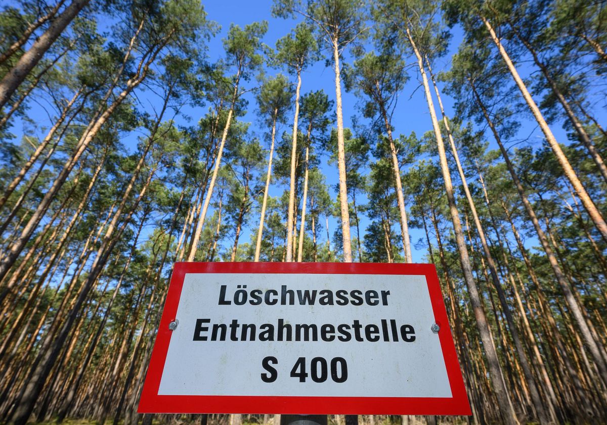 Waldbrandsaison beginnt. (Foto: Patrick Pleul/dpa)