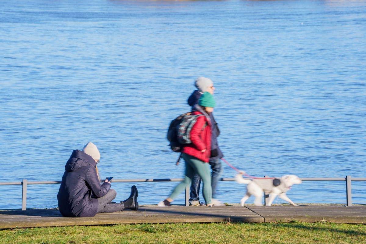 Sonne am Rheinufer. (Foto: Andreas Arnold/dpa)