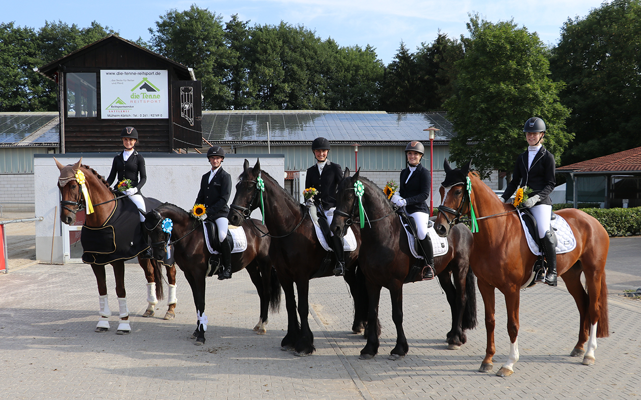 Dem Wetter getrotzt: Erfolgreiches Dressur-Festival in Montabaur-Horressen