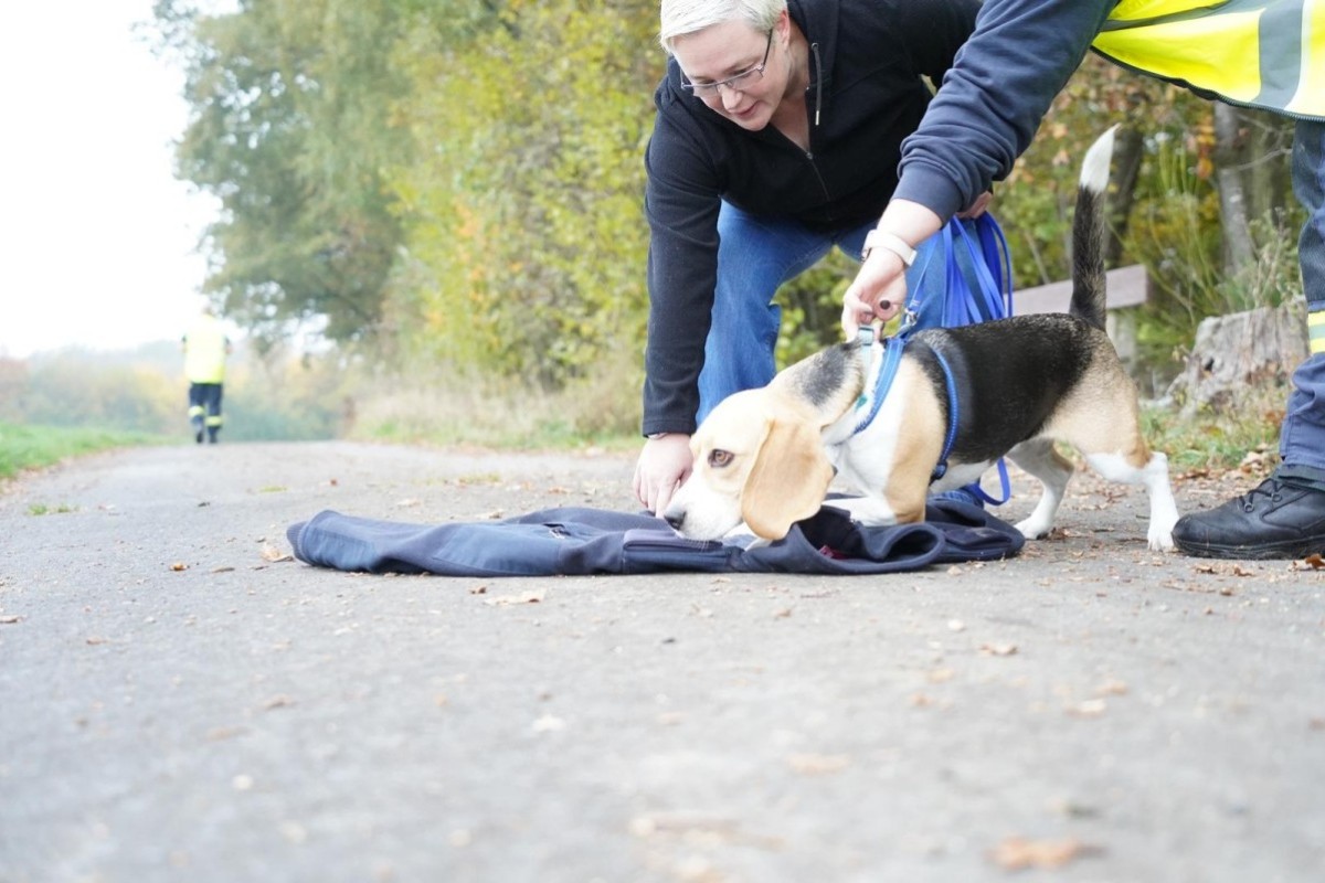 Mensch und Hund trainieren zusammen fr den Ernstfall (Fotos: Rettungshundestaffel Feuerwehr Hamm (Sieg))