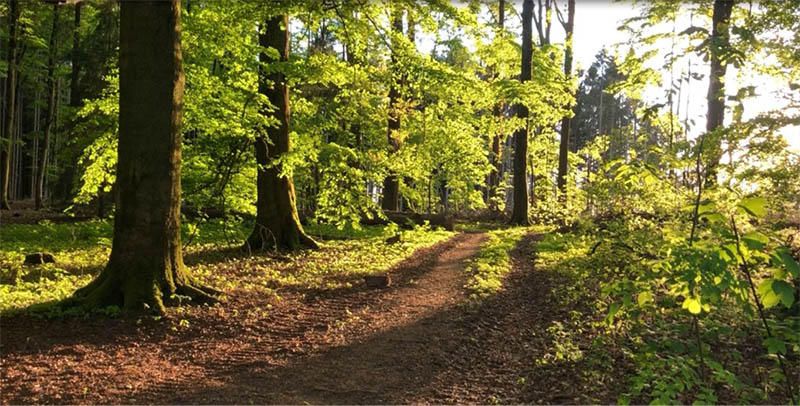 Kinder- und Jugendaktion der Ortsgemeinde Puderbach