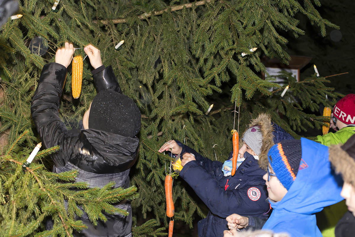 Schmcken des Weihnachtsbaumes fr die Tiere. Archivfoto: Helmi Tischler-Venter