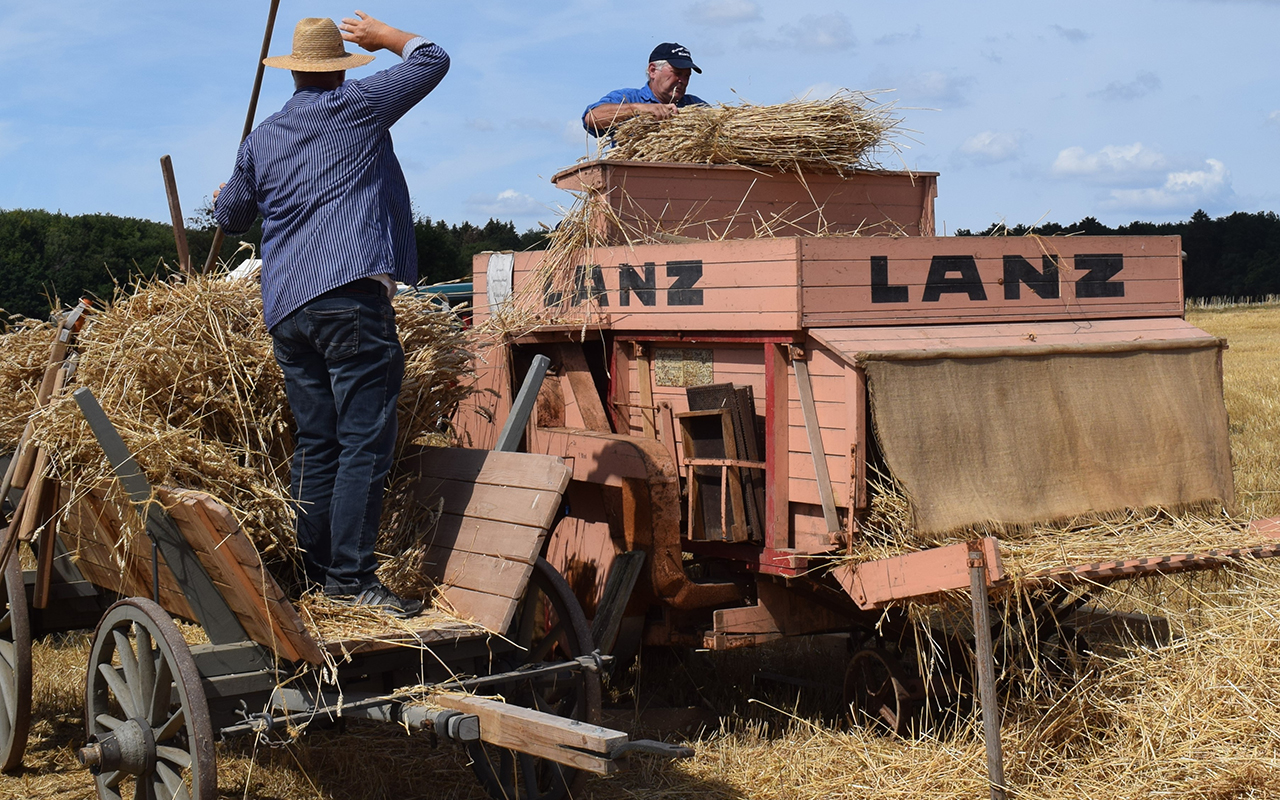 Landschaftsmuseum Westerwald ldt zum Museumsfest ein