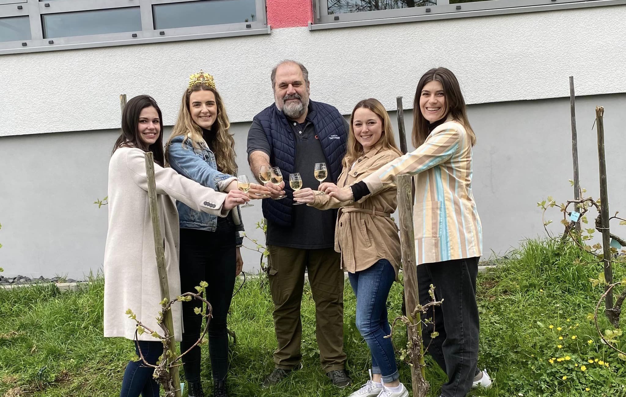 Traditionelles Weinrebenpflanzen der Erpeler Weinmajestten