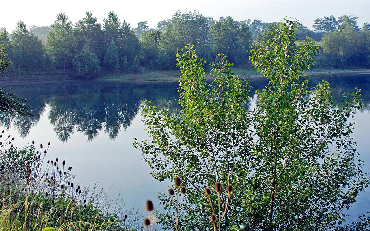 Fhrung "Fauna und Flora" im Engerser Feld