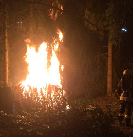 Die Flammen der brennenden Bume waren weithin zu sehen. (Foto Feuerwehr Hamm) 