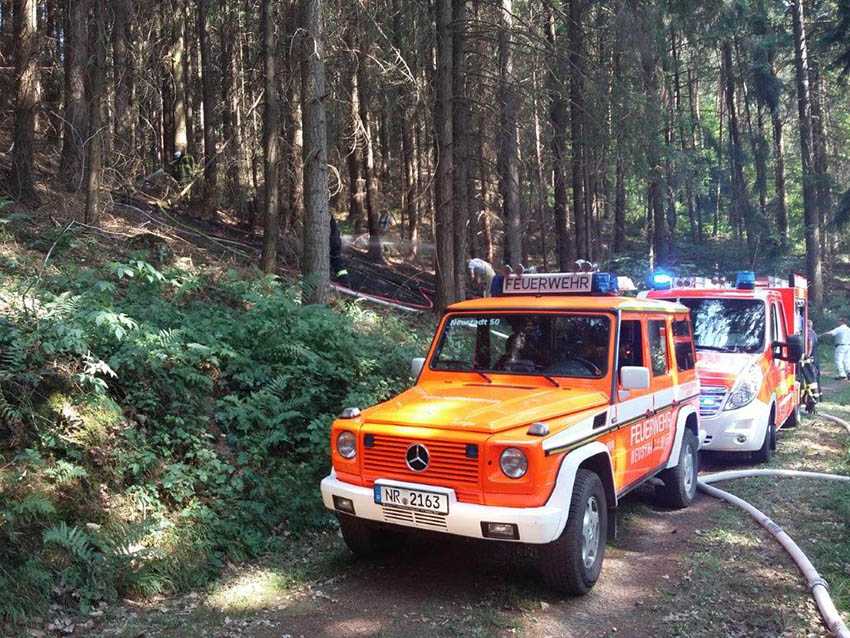 Waldbrand im Bereich Schiefer in Neustadt