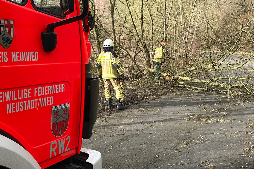 Arbeitsreicher Sonntag fr die Feuerwehr Neustadt