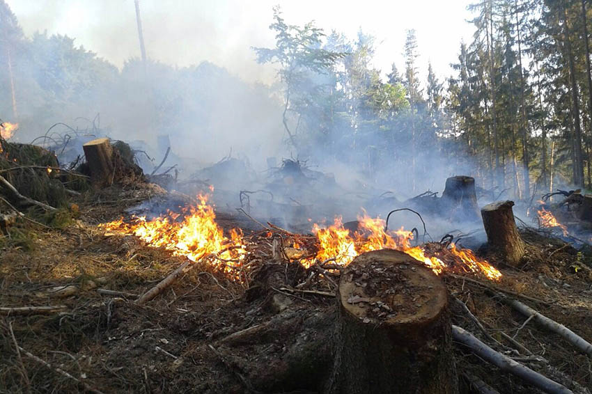 Flchenbrand zwischen Thalhausen und Kleinmaischeid