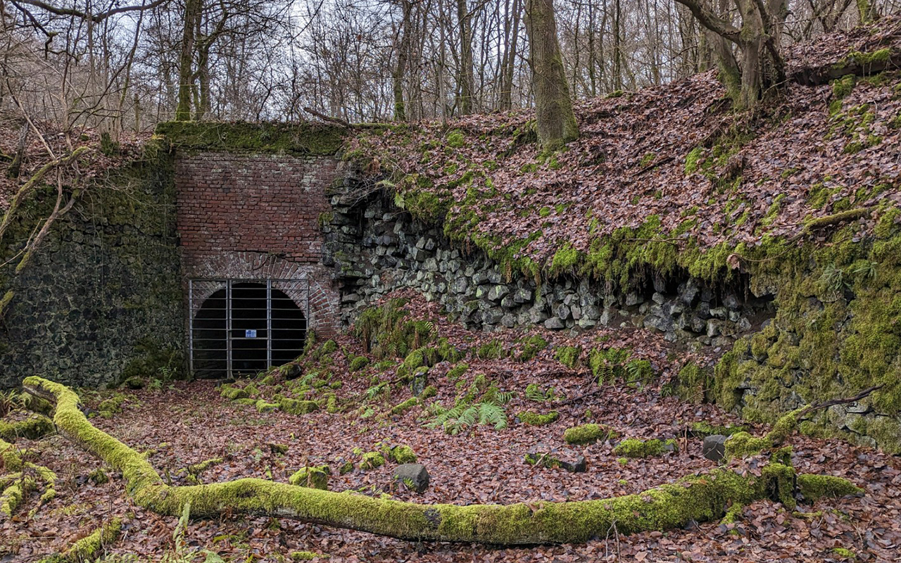 Ein verlassener Bergwerkstollen im Steinbruch Bennau bietet vielen Fledermusen einen optimalen Rckzugsort. (Fotos: ANUAL)