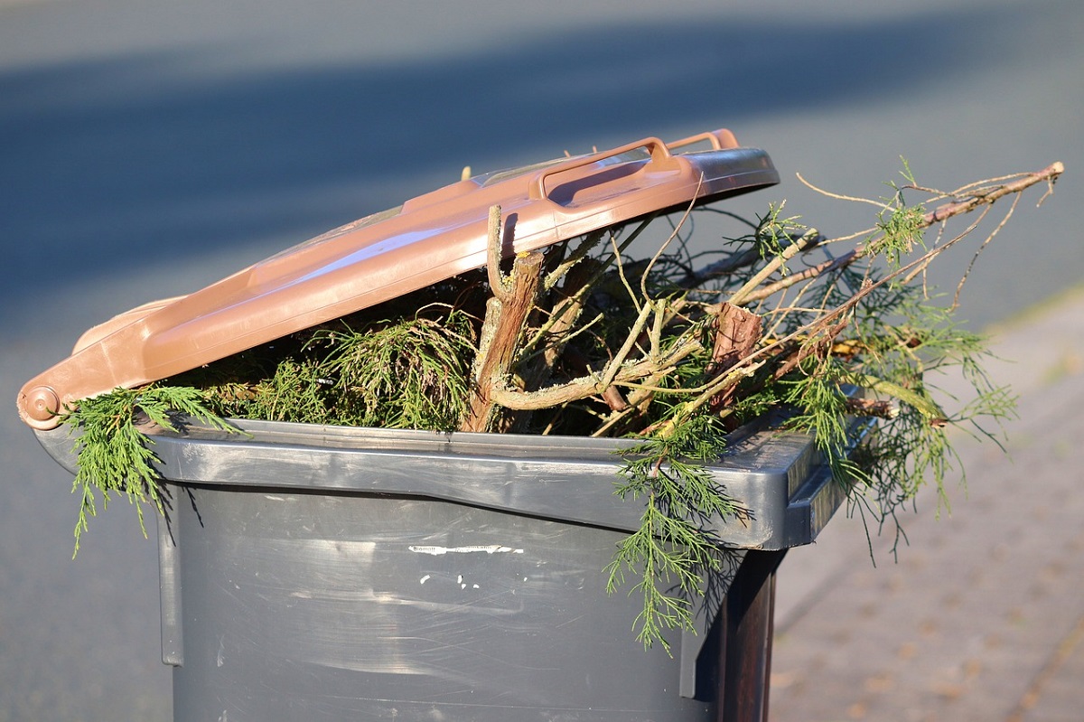 AWB gibt Tipps gegen mffelnde Bioabfalltonnen im Sommer