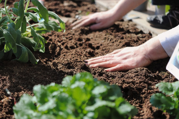 Gartenplanung 2022  Die Planungssaison startet in der khlen Jahreszeit