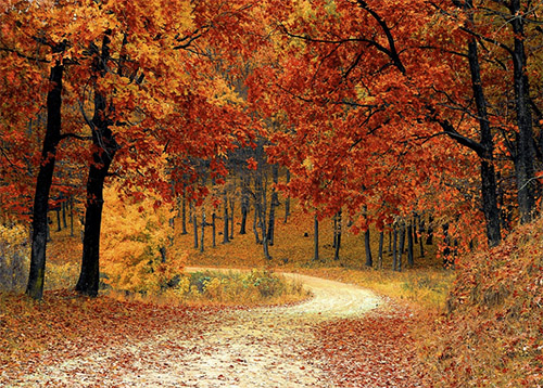 Westerwald im Herbst  Urlaub in Deutschland ist wieder en vogue