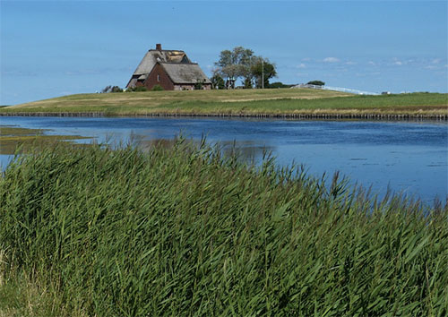 Schleswig-Holstein: Lieblingsland zwischen den Meeren