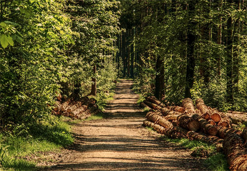 Von Rundwanderung bis Reise: Tipps fr mehr Entspannung in der Natur