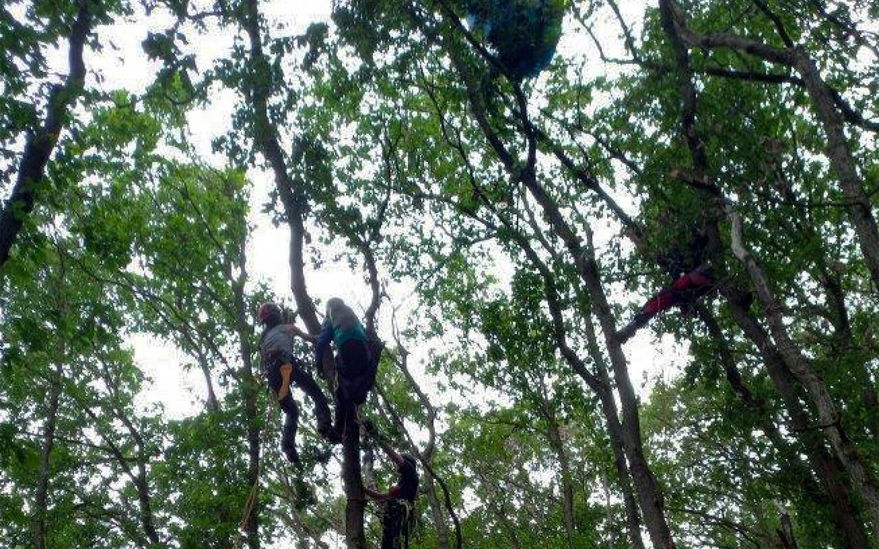 Ungewhnlicher Einsatz in Robach: Feuerwehr rettete Paraglider aus Baum