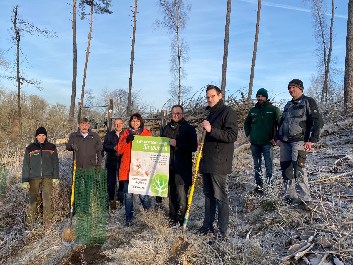 Start fr die Kirschbaumallee im Stadtwald (von links): Revierfrster Andreas Weber, Ullrich Jung, Brgermeister Berno Neuhoff, Britta Bay ("bueroboss.hoffmann"), Joshua Krombach (Krombach Digitaltechnik), Andre Rdder, Stephan Schrg, Martin Buchen. (Foto: Verwaltung) 