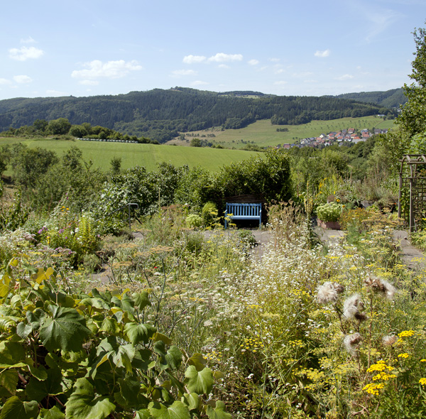 Klostergarten: Seminar und Kruterwanderung im Mai