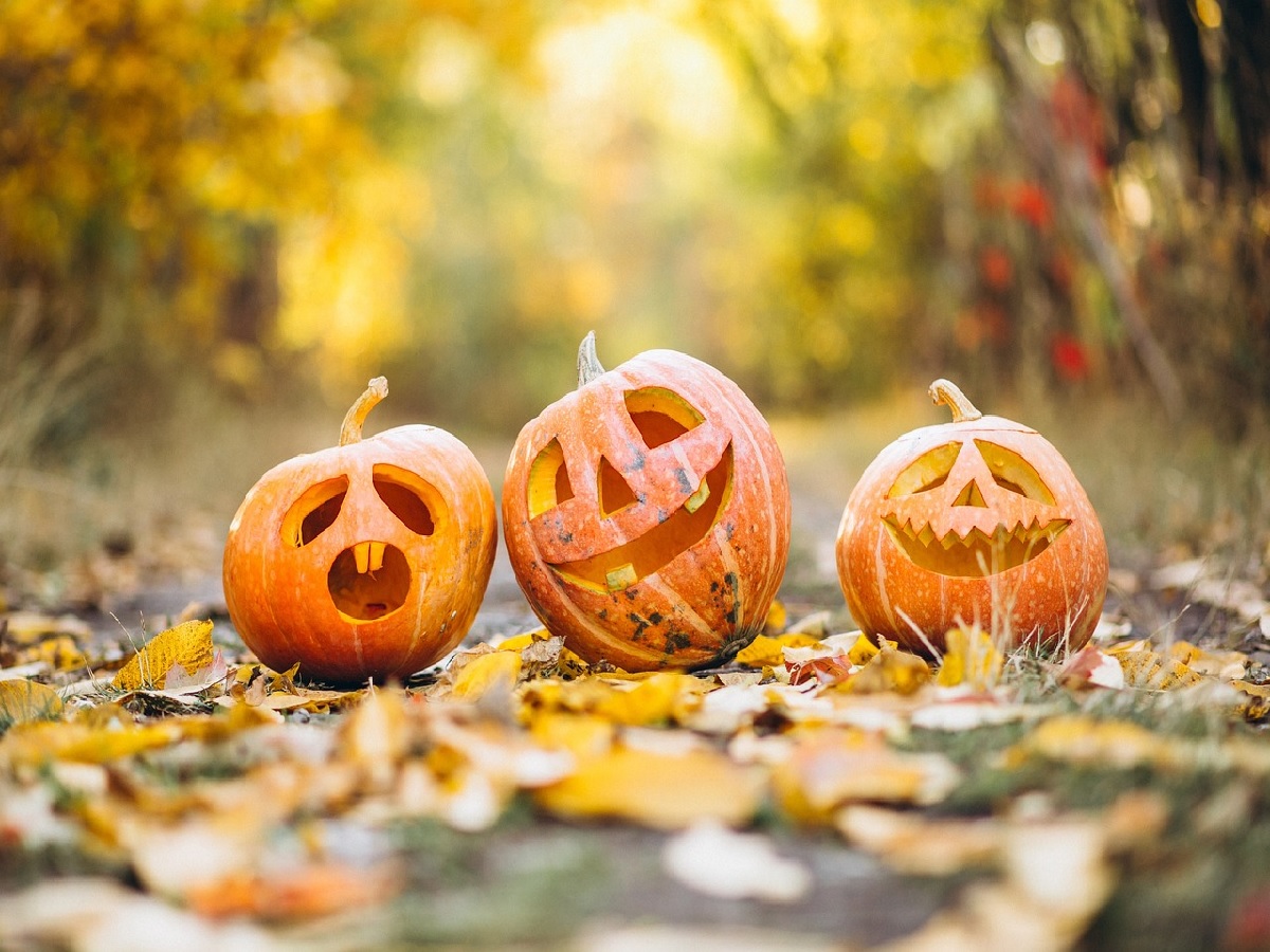 Das Herbstwetter zeigt sich am Samstagmittag in romantischer Farbenpracht