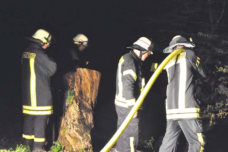 Feuerwehrleute lschen den Flchenbrand. Fotos: (kk)