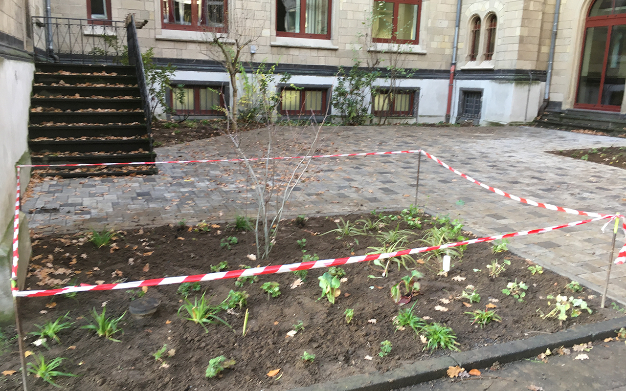 Die Bepflanzung des Innenhofes bildet den Auftakt weiterer grner Projekte. (Foto: Dr. Nadine Kraft)