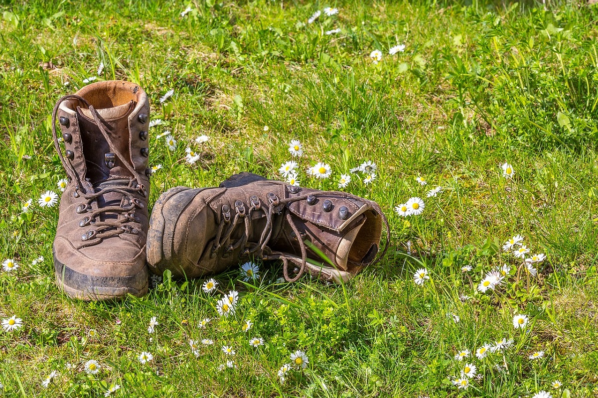 Im Doppelpack: "Abenteuer Heimat" in Wissen und Friedewald