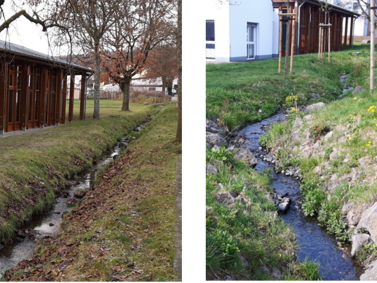 Vorher - nachher: Der zuvor geradlinige Graben (Bild links) wurde verbreitert und mandrierend neu angelegt (gewundener, kurvenreicher Verlauf). Dabei stand die Renaturierung des Baches im Vordergrund (Bild rechts). (Foto: VG Montabaur)