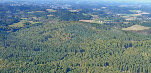 Die Altus AG plant auf dem Hmmerich den Bau von bis zu 230 Meter hohen Windkraftanlagen. Die BI Hmmerich kmpft vehement dagegen. (Foto: Brgerinitiative Hmmerich/Archiv) 