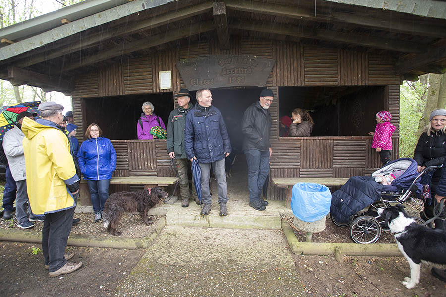 Die Fichten leiden im Elgerter Teil des Stadtwaldes Dierdorf