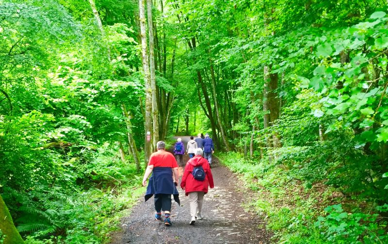 Kostenfreie gefhrte Wanderung in Grenzau 