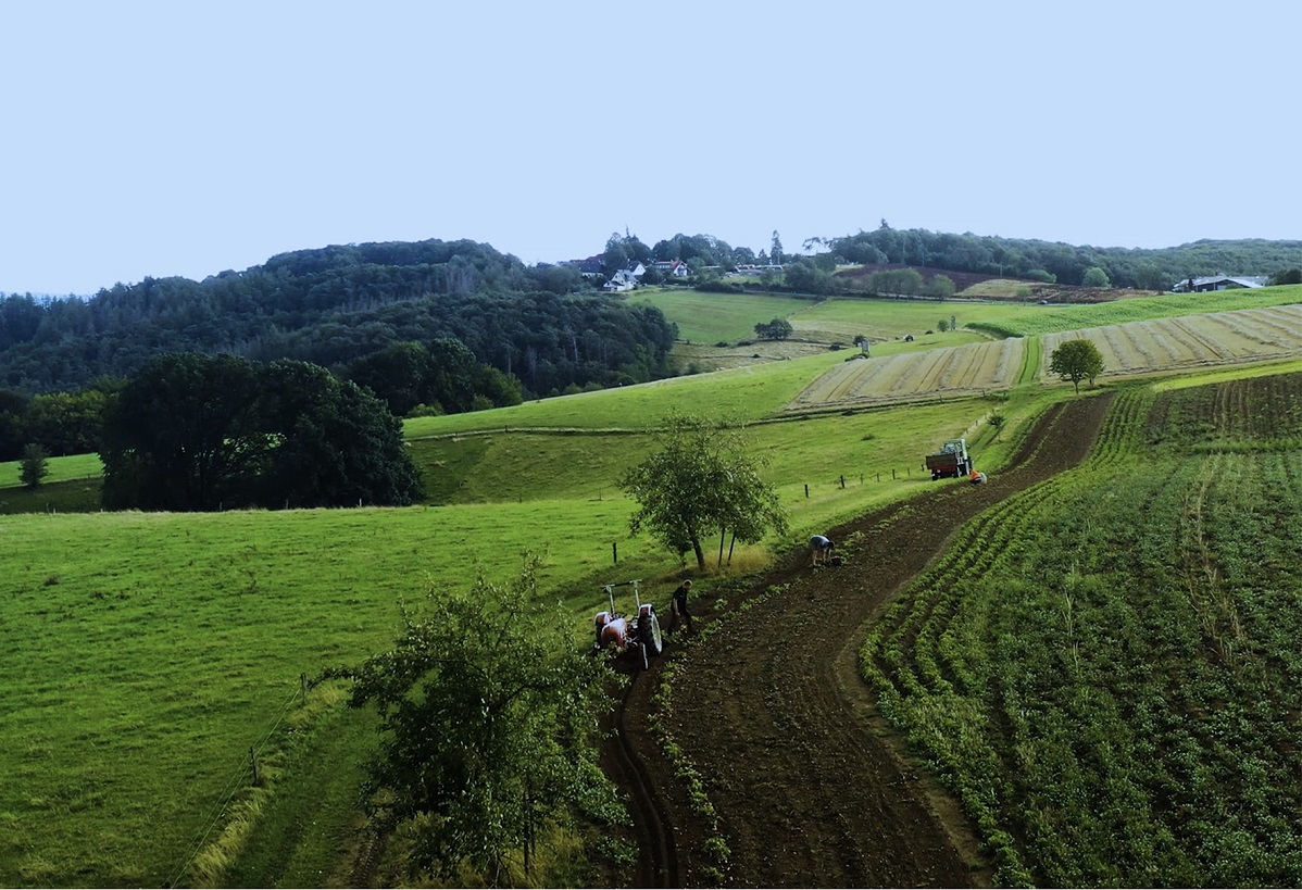 Videoserie: Folge acht der "Wir Westerwlder Geschichten" geht online