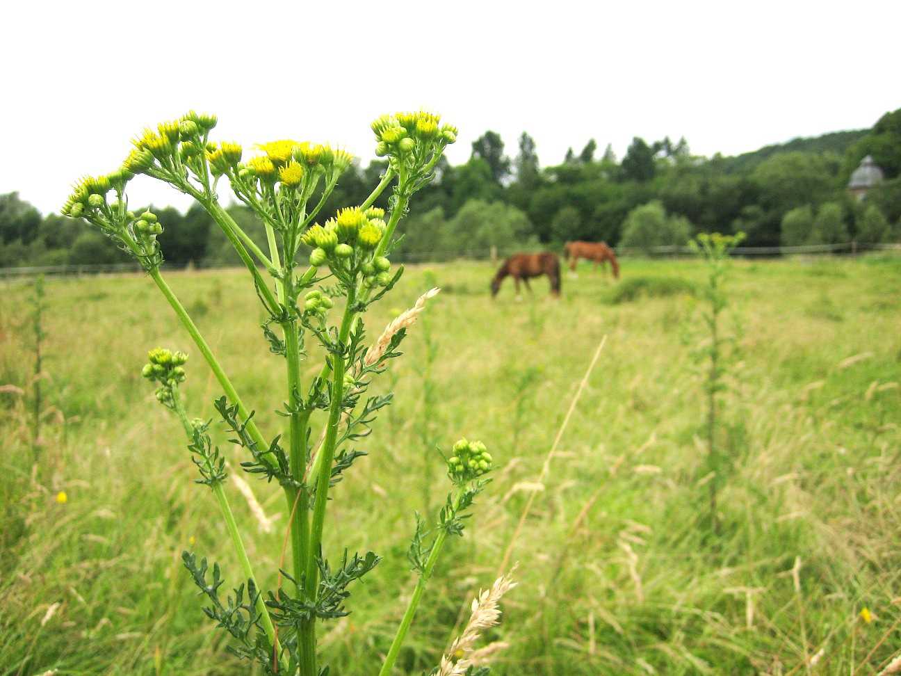 Foto: Symbolfoto NR-Kurier