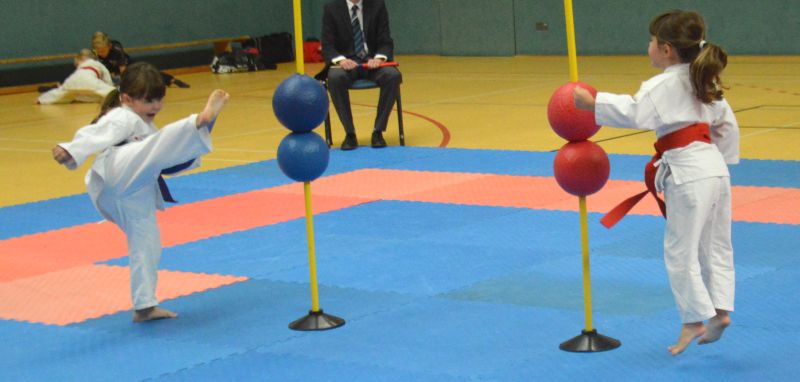 Der Nachwuchs des KSC Karate Team berzeugt in Puderbach