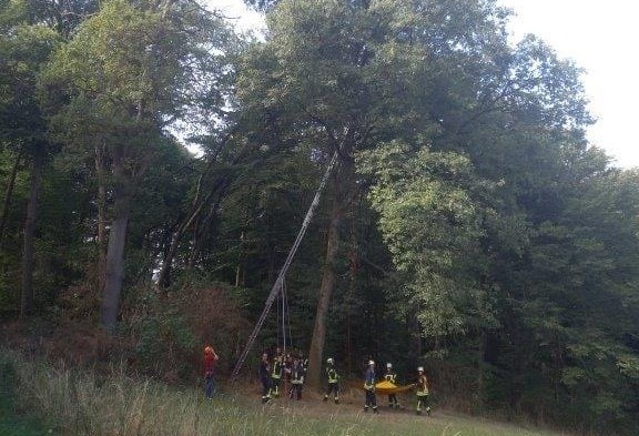 Rettungseinsatz der Feuerwehr Kurtscheid: Katze sitzt im Baum fest