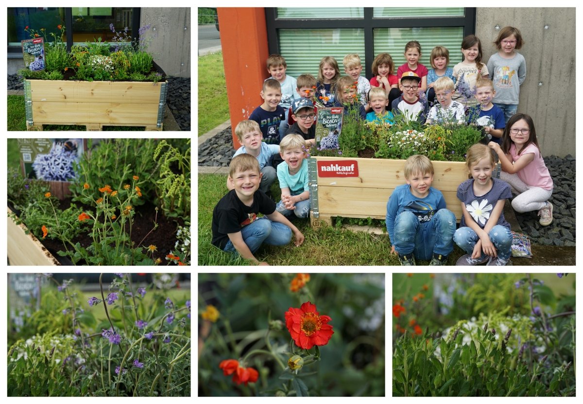 Kita-Kinder aus Birken-Honigsessen erleben "Natur und Nachhaltigkeit"