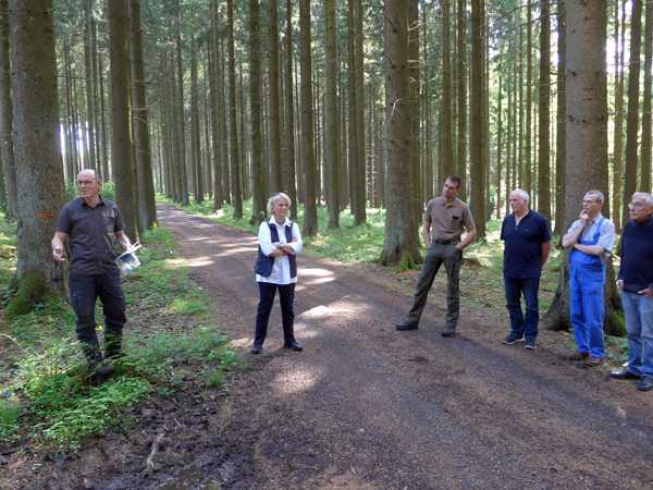 Interessierte Waldbauern im Steimeler Fichtenwald. Fotos: Privat