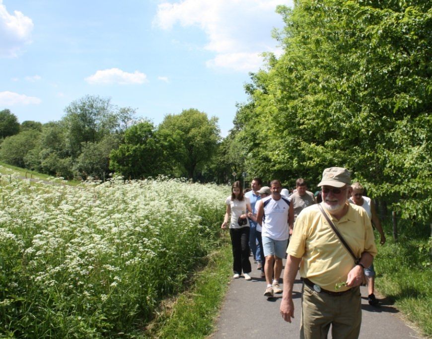 Wildkruterwanderung im Wller Land am 3. Juli 
