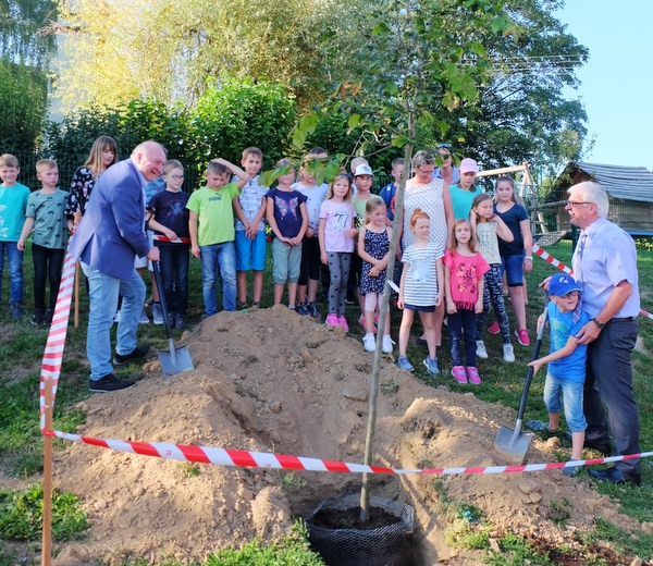 Ein Eisenholzbaum fr Katzwinkel  Gemeinderat ehrte Kommunalpolitiker