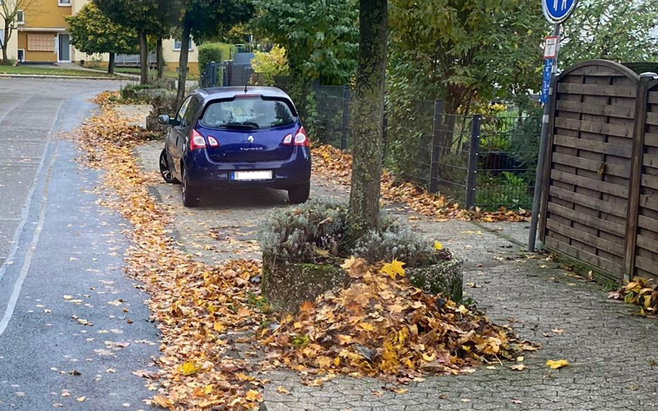 SBN sind fr Straen zustndig - Falsche Entsorgung kann teuer werden