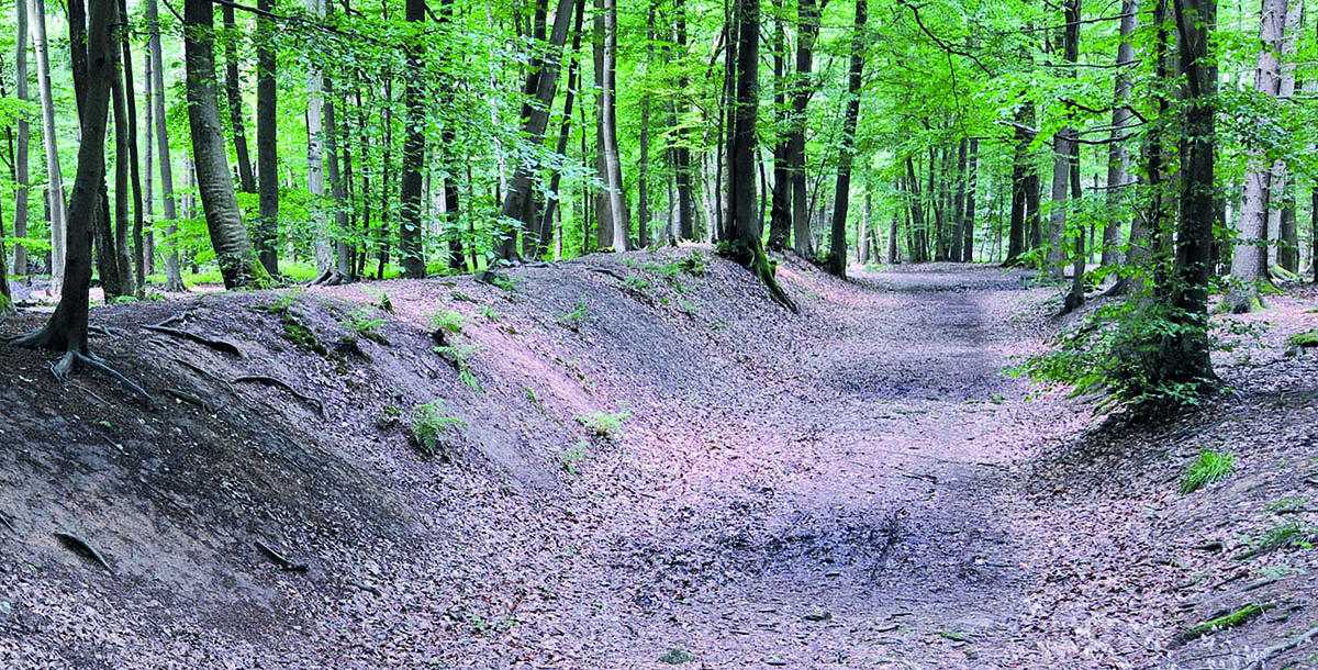 Neuwieder Tourist-Info ldt zu einer gefhrten Wanderung ein 